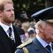 prince harry king charles olive branch