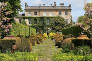 Gardening mistakes hot weather royal gardener 