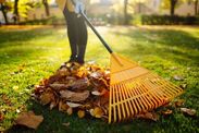 lawn-job-must-do-autumn-winter