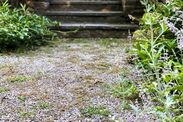 how to get rid of gravel weeds