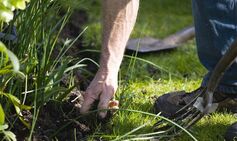 gardeners must finish three vital tasks July