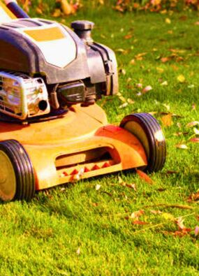 lawn care mistake in autumn mowing properly 