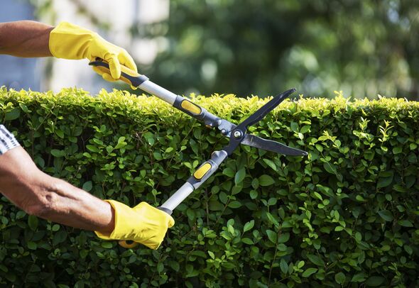 gardening tasks laws 26000 fine