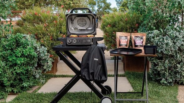 Ninja Woodfire Electric BBQ Grill & Smoker 