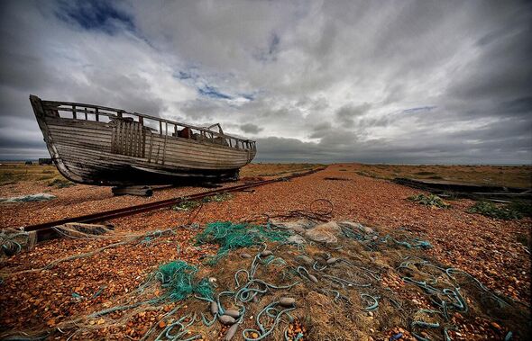 dungeness beach kent wildlife uk 