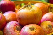 how to keep onions fresh food storage 