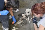 archaeology breakthrough pompeii discovery skeletons 