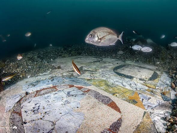 A stunning floor mosaic that once adorned an ancient Roman villa has been discovered underwater