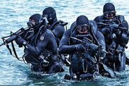 us navy seals backlash pride month