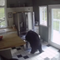 Black bear window kitchen Connecticut home