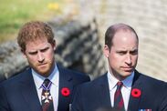 prince william not interested harry gb news