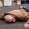 Coronation street tim metcalfe fights life stephen reid