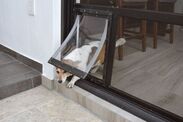 warning dog owners door mistake insurance cost