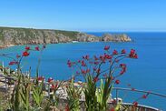 cornwall beach like greek island