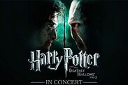 Harry Potter and the Deathly Hallows Part 2 in Concert review