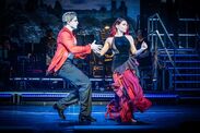 Strictly, The Professionals review London Palladium