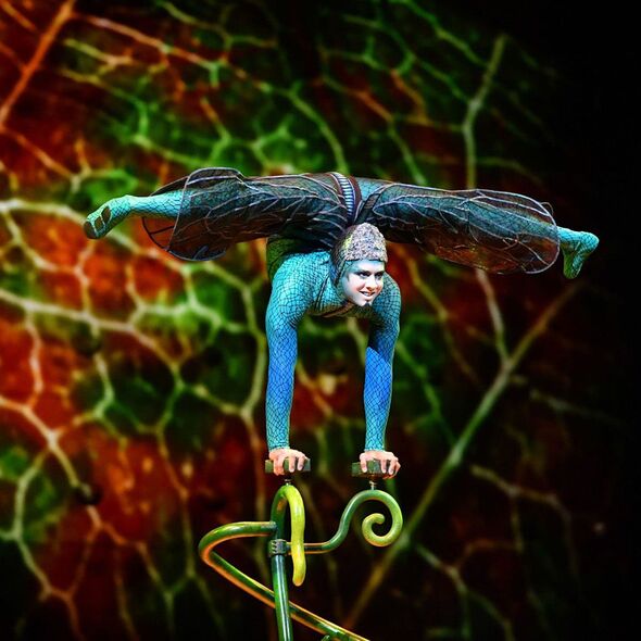 Cirque de Soleil Ovo balancing act