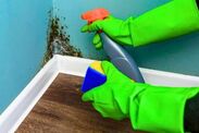 how to remove mould from walls naturally 