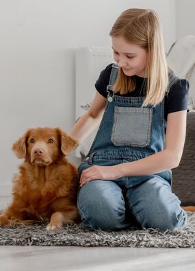 how get rid tough pet stains cleaning