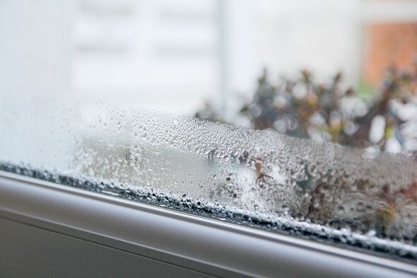 how to prevent window condensation mould