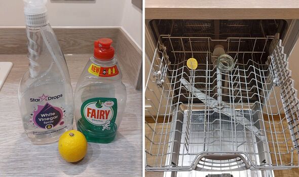 cleaning tips dishwasher lemons white vinegar