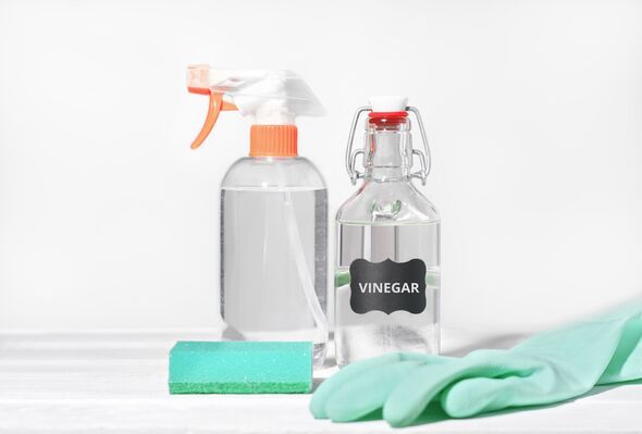 White vinegar