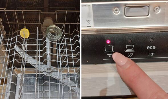 cleaning tips dishwasher lemons white vinegar