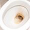 how to remove toilet limescale exclusive