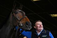 Cheltenham Festival Shishkin Nicky Henderson