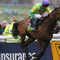 Kauto Star looks set for sweet revenge