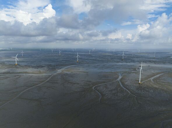 Wadden sea