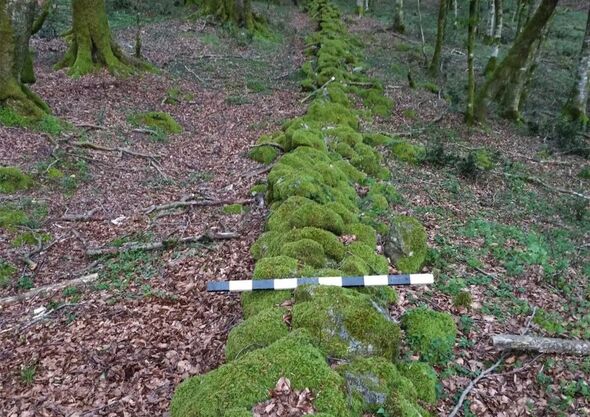 A picture of a Roman stone wall and earthwork uncovered in southern Italy