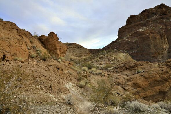 Arid desert landscape - lake mead national recreational area