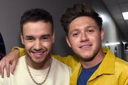 One Direction Niall Horan Liam Payne death