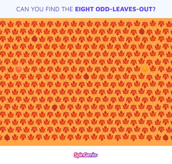 brainteaser spot eight odd leaves out 