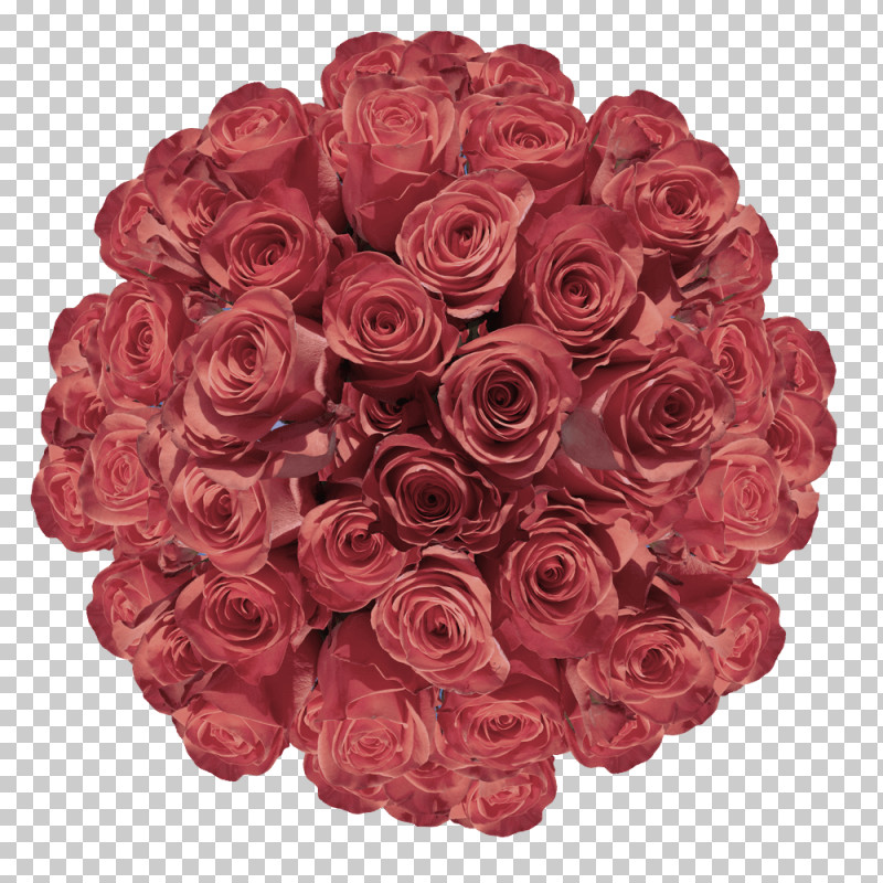 Garden Roses PNG, Clipart, Artificial Flower, Cabbage Rose, Cut Flowers, Floral Design, Floribunda Free PNG Download