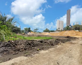 Denúncias de aterro e desmatamento no Rio Timbó geram ações legais e fiscalização