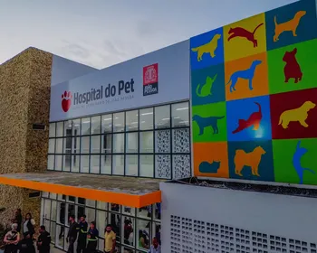 Hospital Veterinário de João Pessoa: saiba quais são os serviços oferecidos para os pets