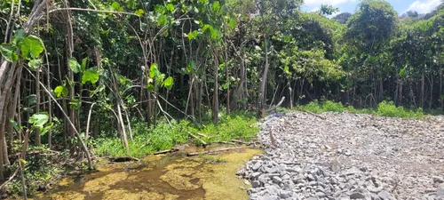 
				
					Denúncias de aterro e desmatamento no Rio Timbó geram ações legais e fiscalização
				
				