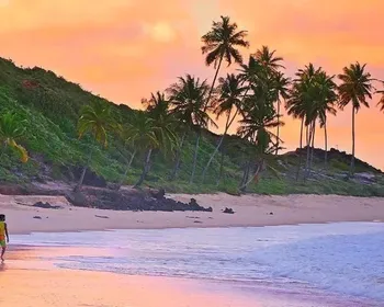 Praia de Coqueirinho: mar calmo e águas cristalinas