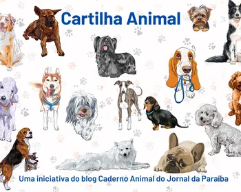 Tutor legal segue a Cartilha Animal