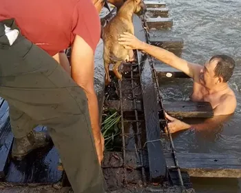 VÍDEO: Cachorro é resgatado por moradores após cair de ponte no Sertão da PB