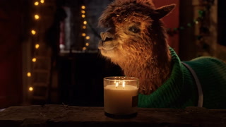 TK Maxx unveils 2024 Christmas advert and the festive farm is back