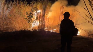 Watch: Team of 75 firefighters tackle fast-moving California Auto-Fire