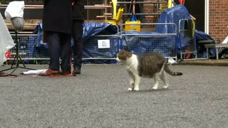 Larry the cat greets reporters after first night with new family