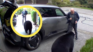 Mama bear charges at B.C. man in his driveway