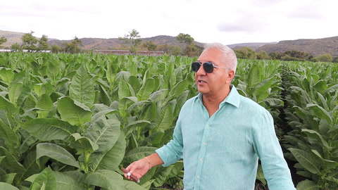 Rocky Patel At Tavicusa In Estelí, Nicaragua