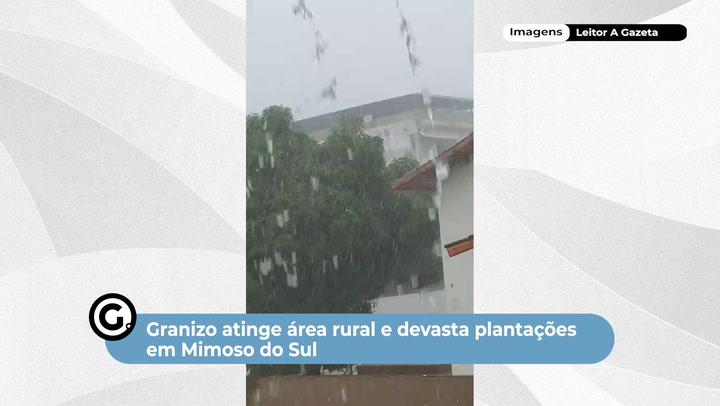 Thumbnail - Plantações ficaram danificadas após temporal com granizo na terça-feira (17)