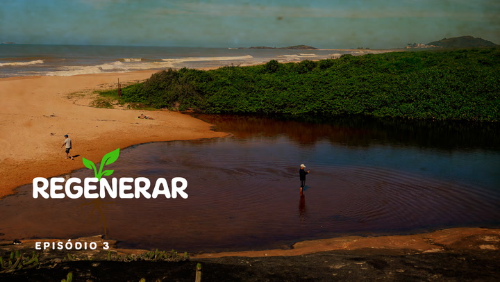 Thumbnail - A história do Parque Paulo César Vinha, em Guarapari, é de resiliência. O local, que já sobreviveu a explorações ilegais e incêndios, tem ares de cartão-postal, com belas trilhas, praias e lagoas