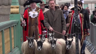 Hollywood star herds sheep across Southwark Bridge 